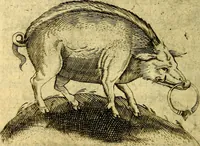 An illustration from Dévises héroiqves et emblèmes (1622)