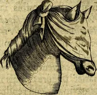 An illustration from Dévises héroiqves et emblèmes (1622)