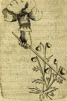 Picture 95 of 179 from Dévises héroiqves et emblèmes (1622), leaf 202