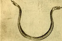 Picture 99 of 179 from Dévises héroiqves et emblèmes (1622), leaf 207