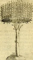 An illustration from Dévises héroiqves et emblèmes (1622)