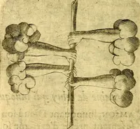 An illustration from Dévises héroiqves et emblèmes (1622)