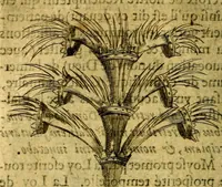 Picture 136 of 179 from Dévises héroiqves et emblèmes (1622), leaf 263
