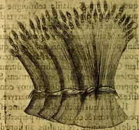 An illustration from Dévises héroiqves et emblèmes (1622)