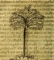An illustration from Dévises héroiqves et emblèmes (1622)