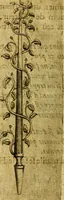 An illustration from Dévises héroiqves et emblèmes (1622)
