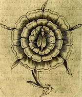 Picture 148 of 179 from Dévises héroiqves et emblèmes (1622), leaf 289