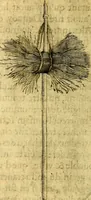 An illustration from Dévises héroiqves et emblèmes (1622)
