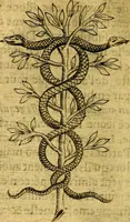 Picture 157 of 179 from Dévises héroiqves et emblèmes (1622), leaf 307