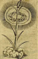An illustration from Dévises héroiqves et emblèmes (1622)