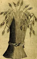 Picture 165 of 179 from Dévises héroiqves et emblèmes (1622), leaf 321