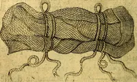 Picture 166 of 179 from Dévises héroiqves et emblèmes (1622), leaf 323
