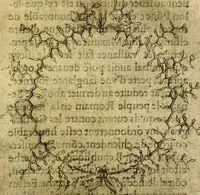 Picture 172 of 179 from Dévises héroiqves et emblèmes (1622), leaf 338