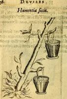 Picture 29 of 179 from Dévises héroiqves et emblèmes (1622), leaf 73