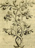 An illustration from Dévises héroiqves et emblèmes (1622)