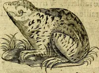 An illustration from Dévises héroiqves et emblèmes (1622)