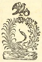 An illustration from Dvo dialoghi della mvsica del Signor Lvigi Dentice, gentil'hvomo Napolitano ; delli quali l'uno tratta della theorica, & l'altro della pratica: raccolti da diuersi autori greci, & latini (1553)