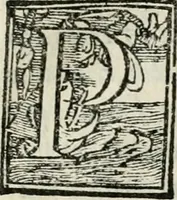 An illustration from Dvo libri di m. Giacomo Lanteri di Paratico da Brescia : del modo di fare le fortificationi de terra intorno alle città, & alle castella per fortificarle : et di fare cosi i forti in campagna per gli alloggiamenti de gli esserciti : come anco per andar sotto ad una terra, & di fare i ripari nella batterie (1559)