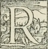 An illustration from Dvo libri di m. Giacomo Lanteri di Paratico da Brescia : del modo di fare le fortificationi de terra intorno alle città, & alle castella per fortificarle : et di fare cosi i forti in campagna per gli alloggiamenti de gli esserciti : come anco per andar sotto ad una terra, & di fare i ripari nella batterie (1559)