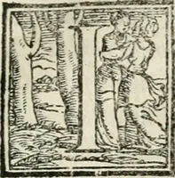 An illustration from Dvo libri di m. Giacomo Lanteri di Paratico da Brescia : del modo di fare le fortificationi de terra intorno alle città, & alle castella per fortificarle : et di fare cosi i forti in campagna per gli alloggiamenti de gli esserciti : come anco per andar sotto ad una terra, & di fare i ripari nella batterie (1559)