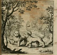 An illustration from Dyas chymica tripartita, das ist, Sechs herzliche deutsche philosophische Tractätlein : deren II. von an jtzo noch im Leben, II. von mitlern Alters, und II. von ältern Philosophis beschrieben Worden : nunmehr aber allen Filiis doctrinae zu Nutz an Tag geben, und mit schönen Figuren gezieret (1625)