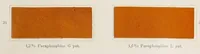 An illustration from The dyeing of chrome leather with the dyestuffs of the Cassella Color Company. (1900)