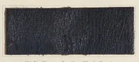 Picture 6 of 7 from The dyeing of chrome leather with the dyestuffs of the Cassella Color Company. (1900), leaf 29
