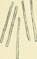 An illustration from The dyeing of cotton fabrics : a practical handbook for the dyer and student (1901)