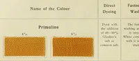 An illustration from The dyeing of cotton and other vegetable fibres with the dyestuffs of Leopold Cassella & Co. Frankfort o. M (1902)