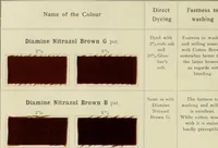 An illustration from The dyeing of cotton and other vegetable fibres with the dyestuffs of Leopold Cassella & Co. Frankfort o. M (1902)
