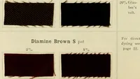 An illustration from The dyeing of cotton and other vegetable fibres with the dyestuffs of Leopold Cassella & Co. Frankfort o. M (1902)