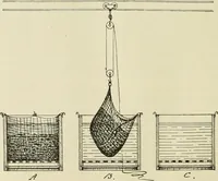 An illustration from The dyeing of cotton and other vegetable fibres with the dyestuffs of Leopold Cassella & Co. Frankfort o. M (1902)