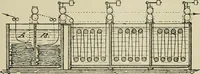 An illustration from The dyeing of cotton and other vegetable fibres with the dyestuffs of Leopold Cassella & Co. Frankfort o. M (1902)