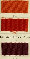 An illustration from The dyeing of cotton and other vegetable fibres with the dyestuffs of Leopold Cassella & Co. Frankfort o. M (1902)