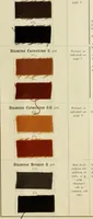 An illustration from The dyeing of cotton and other vegetable fibres with the dyestuffs of Leopold Cassella & Co. Frankfort o. M (1902)