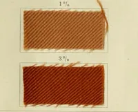 An illustration from The dyeing of cotton and other vegetable fibres with the dyestuffs of Leopold Cassella & Co. Frankfort o. M (1902)