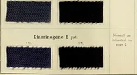 An illustration from The dyeing of cotton and other vegetable fibres with the dyestuffs of Leopold Cassella & Co. Frankfort o. M (1902)