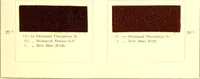 An illustration from The dyeing of leather with the dyestuffs of Cassella Color Company (1910)