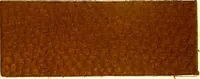 An illustration from The dyeing of leather with the dyestuffs of Cassella Color Company (1910)