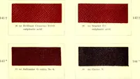 An illustration from The dyeing of leather with the dyestuffs of Cassella Color Company (1910)