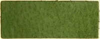 An illustration from The dyeing of leather with the dyestuffs of Cassella Color Company (1910)