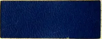An illustration from The dyeing of leather with the dyestuffs of Cassella Color Company (1910)