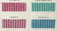 An illustration from The dyeing of mixed fabrics composed of wool and silk : with the dyestuffs of Leopold Cassella & Co., G.m.b.H., Frankfort o.M, American branch, Cassella Color Company (1906)
