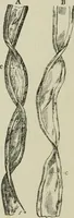 An illustration from The dyeing of paper pulp; a practical treatise for the use of papermakers, paperstainers, students and others (1901)