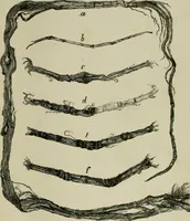 An illustration from The dyeing of paper pulp; a practical treatise for the use of papermakers, paperstainers, students and others (1901)