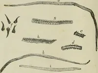 An illustration from The dyeing of paper pulp; a practical treatise for the use of papermakers, paperstainers, students and others (1901)