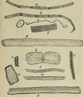 An illustration from The dyeing of paper pulp; a practical treatise for the use of papermakers, paperstainers, students and others (1901)