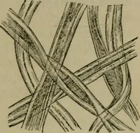 An illustration from The dyeing of textile fabrics (1885)