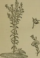 An illustration from The dyeing of textile fabrics (1885)