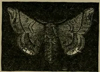 An illustration from The dyeing of textile fabrics (1885)